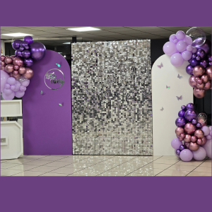 Mur à Sequins Argent